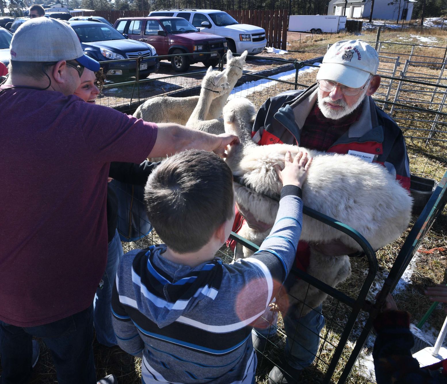 Alpaca Extravaganza